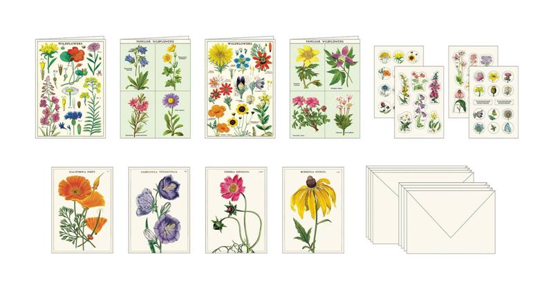 Cavallini & Co | Wildflowers Stationery Set