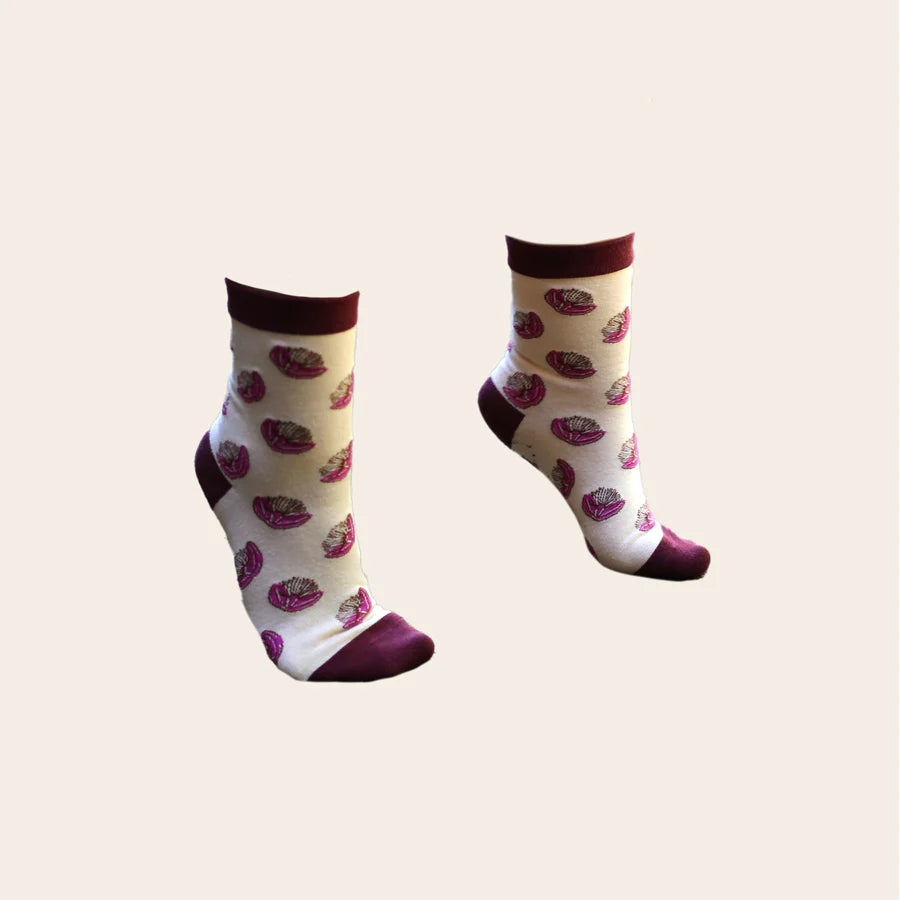 Ali Davies Socks | Pohutukawa Boxed Set