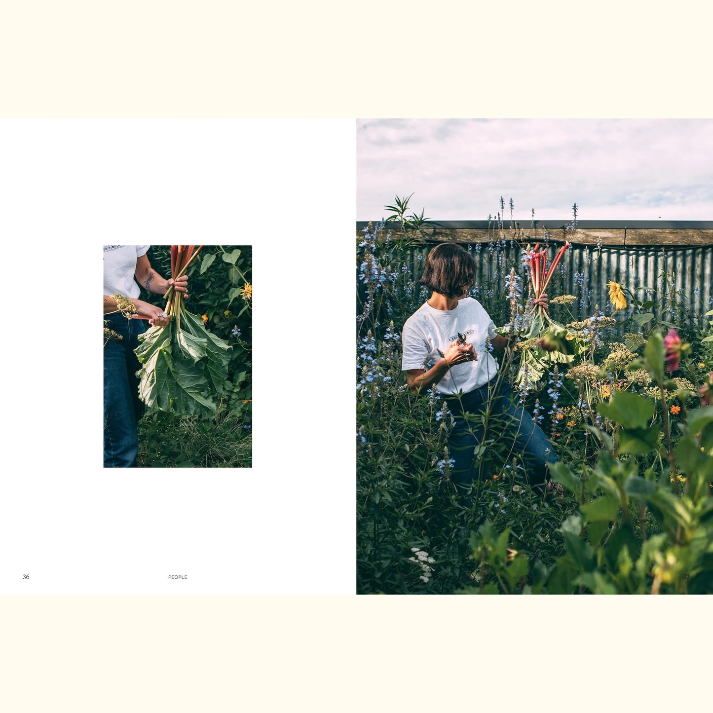Sage Volume 1