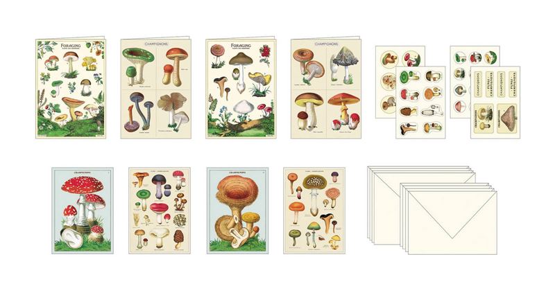 Cavallini & Co | Mushroom Stationery Set