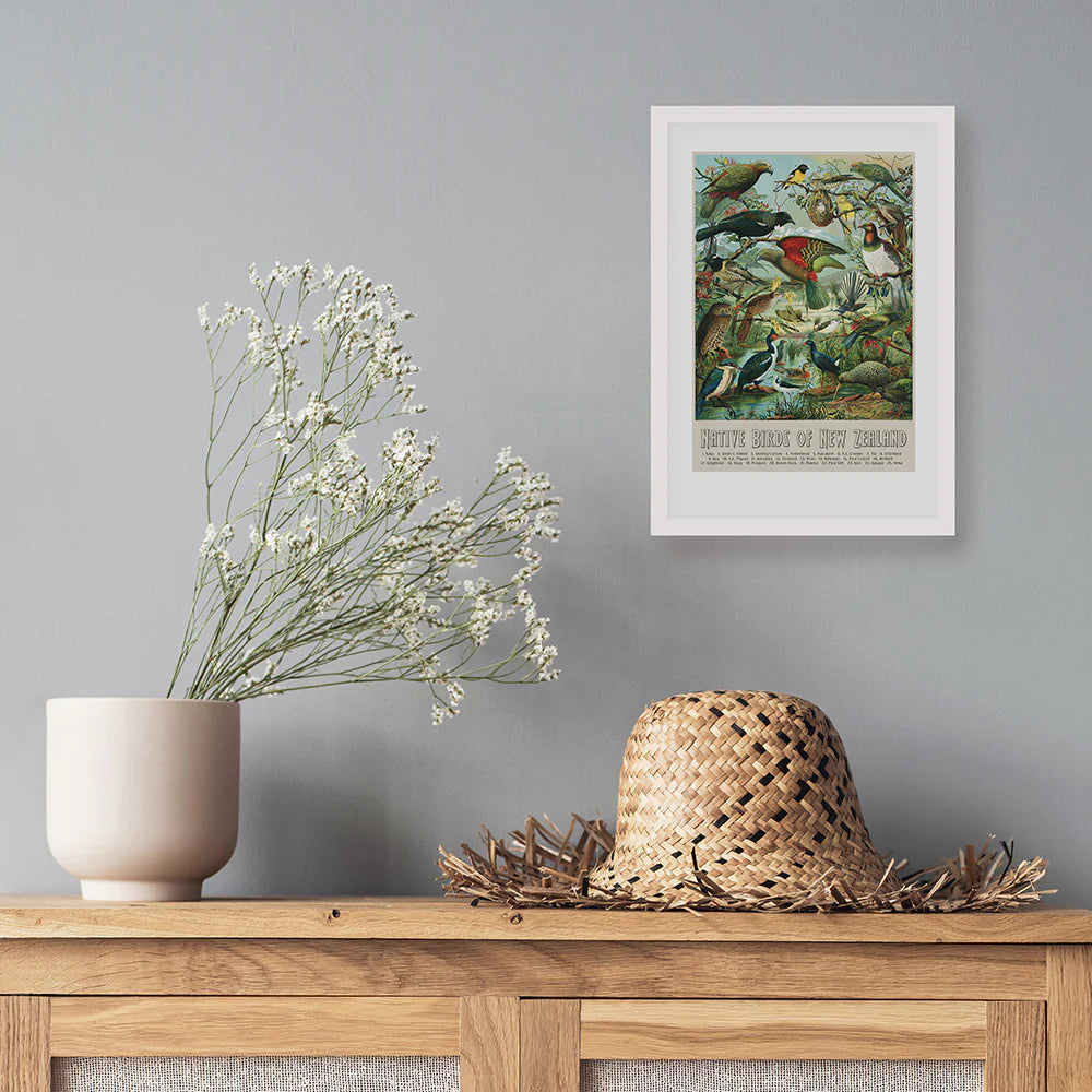 "Native Birds of New Zealand" vintage Buller’s Birds art print