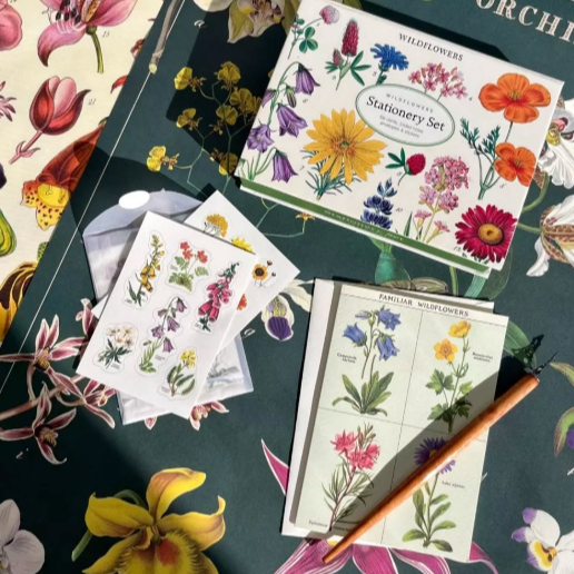 Cavallini & Co | Wildflowers Stationery Set
