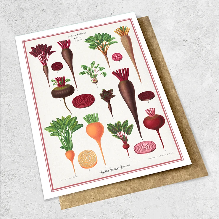 Ink Bomb | Vintage Garden Cards