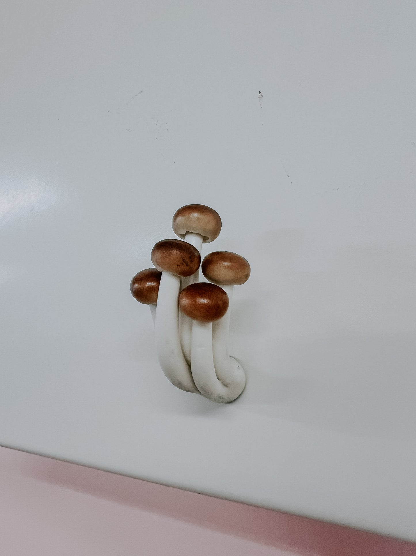 Mushroom Magnets