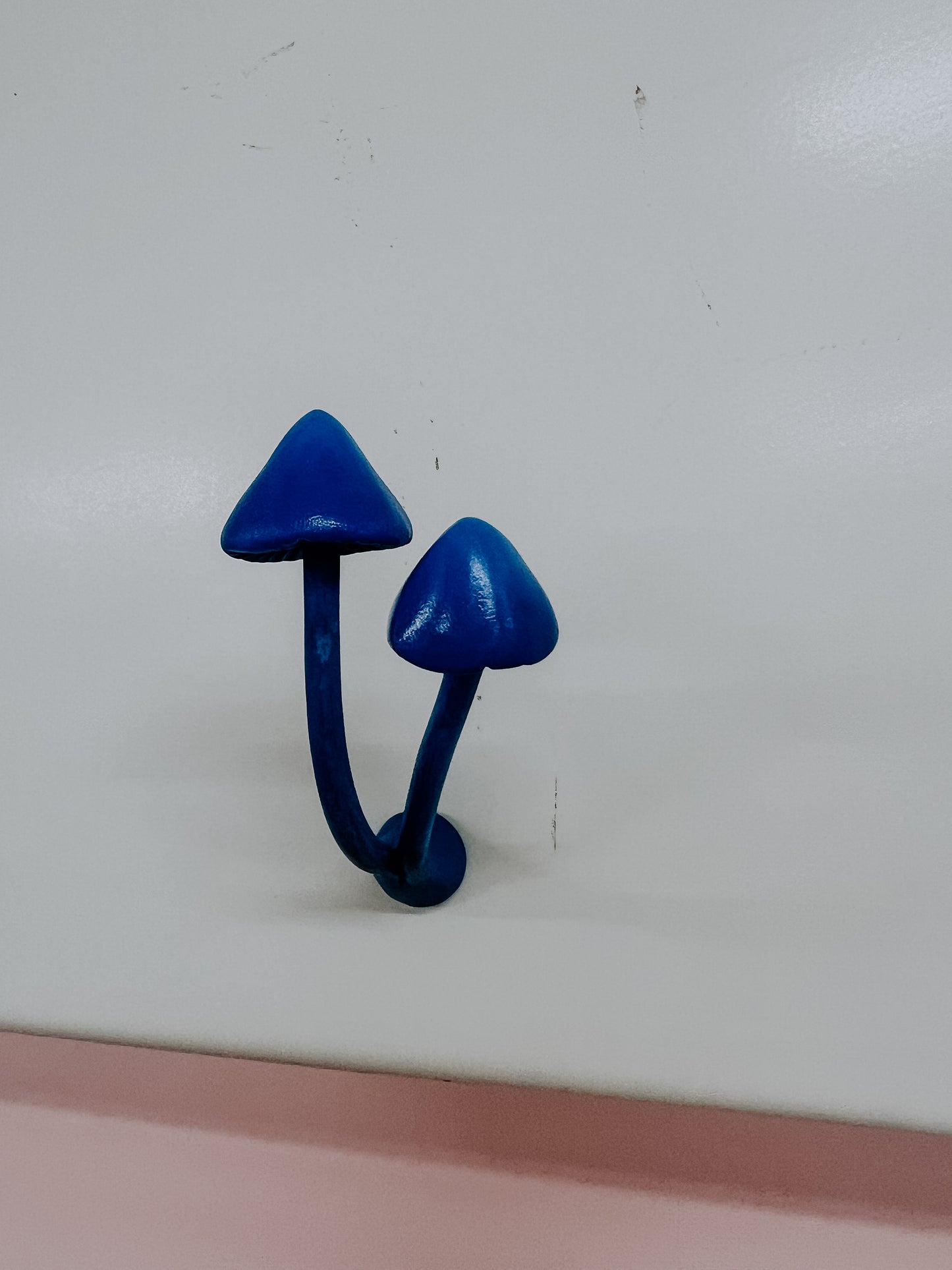 Mushroom Magnets
