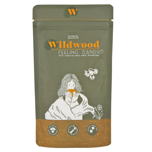 Wildwood | Feeling Dandy with Chaga and Lion’s Mane