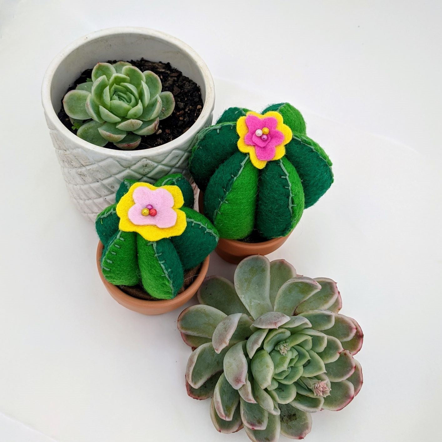 Make Kit | Make Your Own Cactus Pin Cushion or Ornament