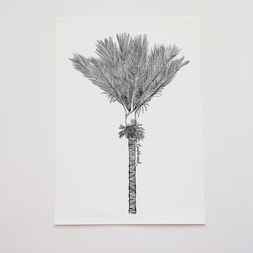 A4 Nīkau Art Print