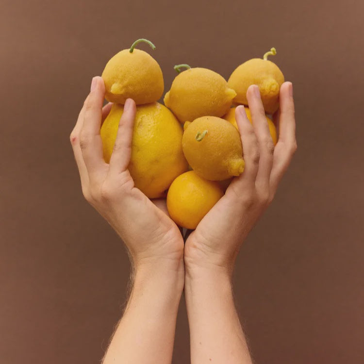 Poppy + Sage | Lemon Beeswax Candle