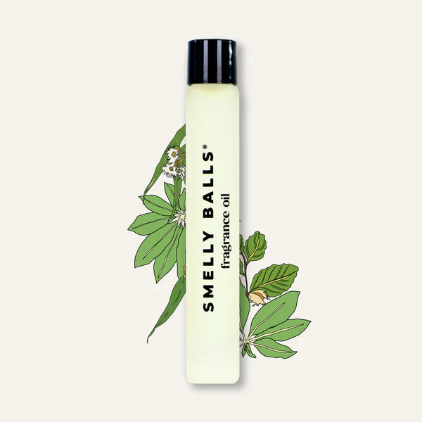 Smelly Balls | Reusable Air Freshener