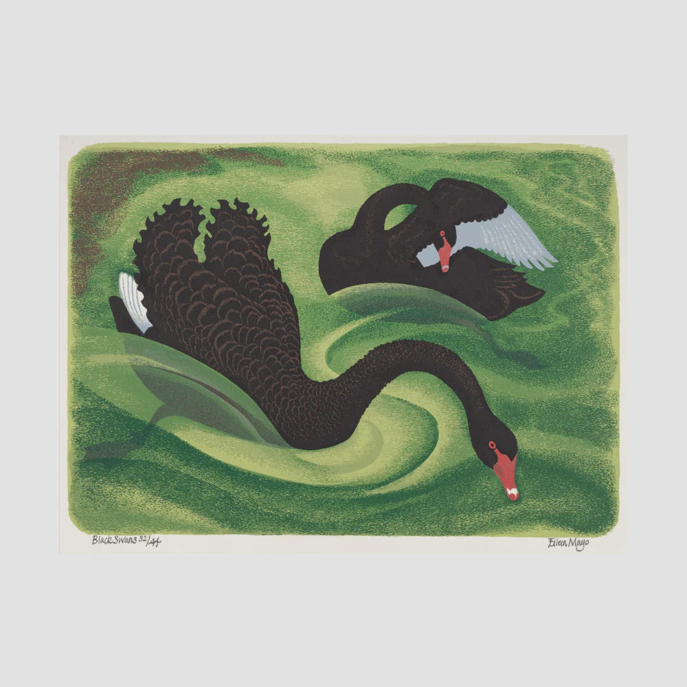 EILEEN MAYO | A3 Print - Black Swans
