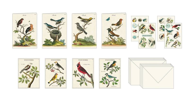 Cavallini & Co | Birds Stationery Set