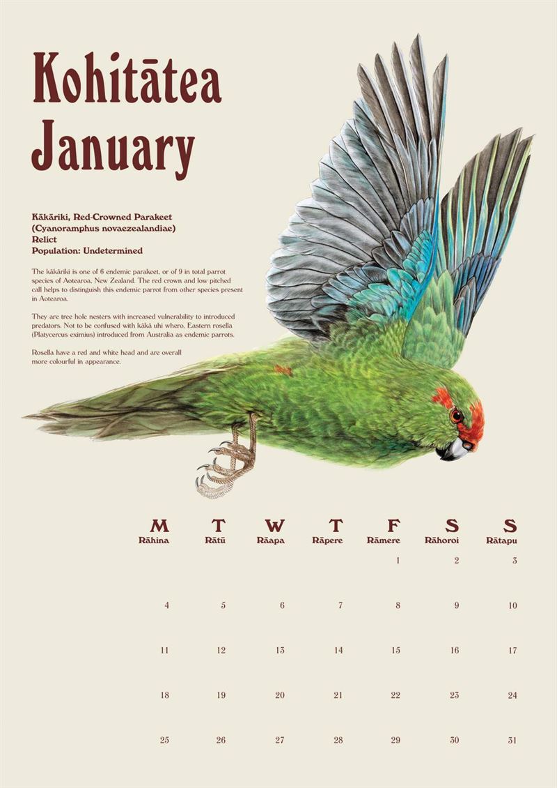 Erin Forsyth - 2027 Wall Calendar