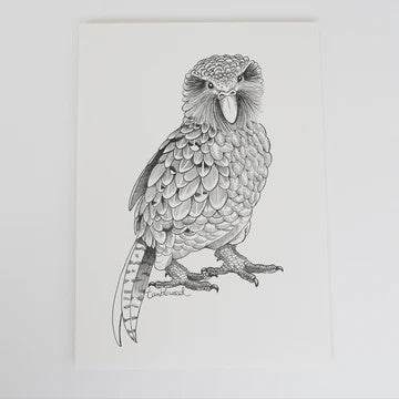 A4 Kākāpō Art Print