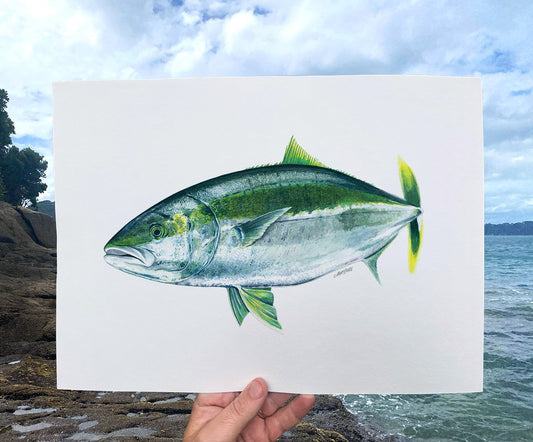 'Kingy' A4 Print