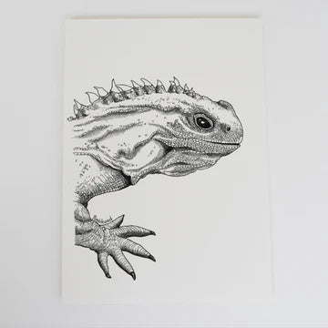 A4 Tuatara Art Print