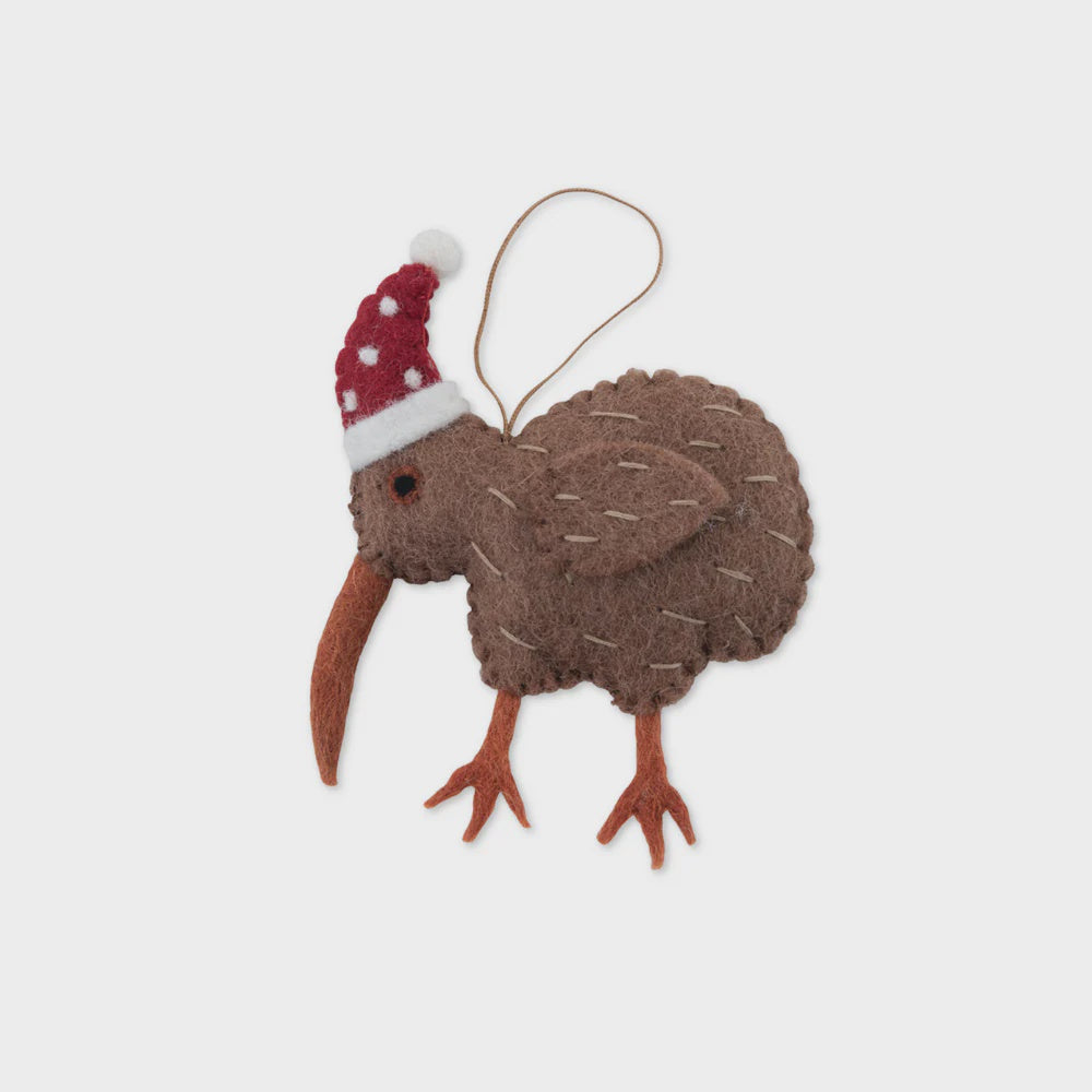 Pashom | Kiwi with santa hat