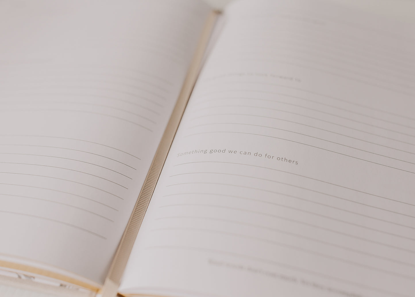 Family Gratitude | All The Good Things