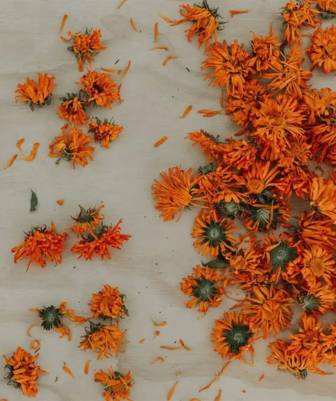 Calendula face and body oil 50ml plant and share