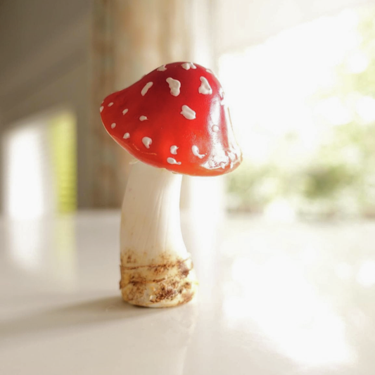 Mushroom Magnets