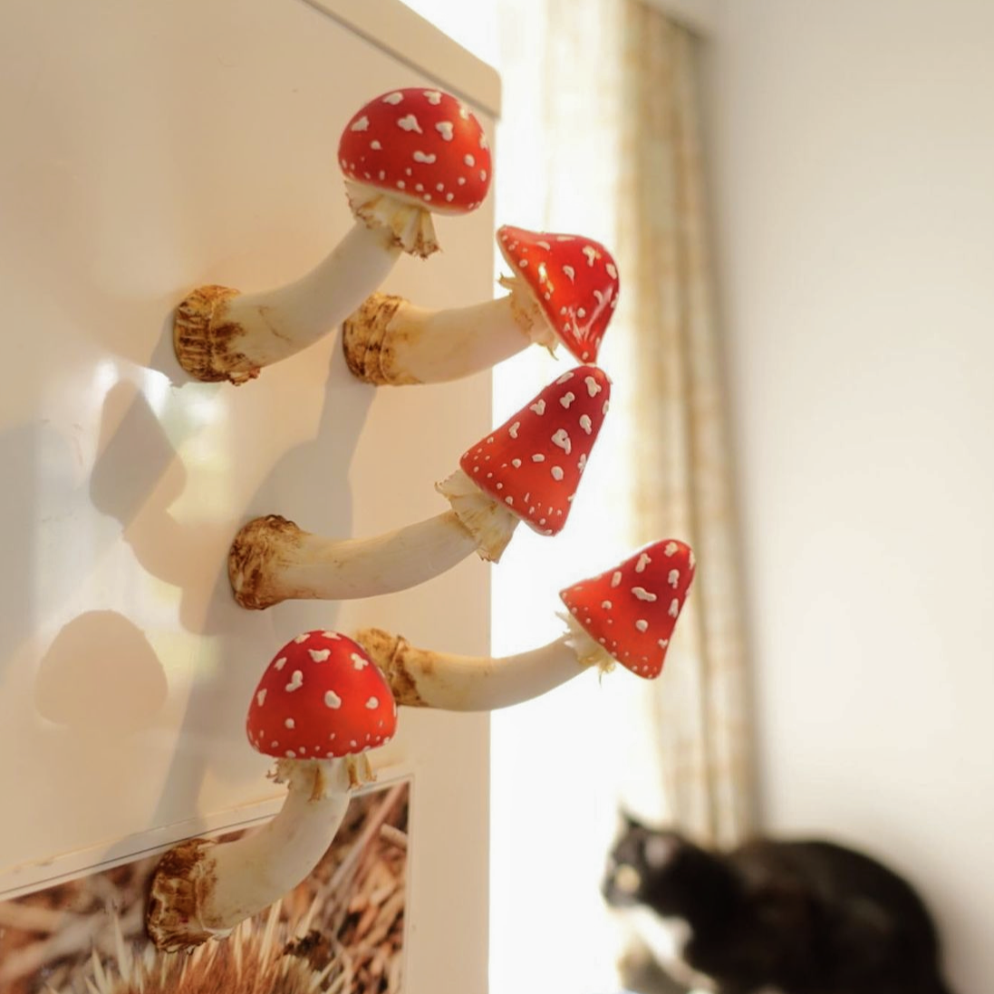 Mushroom Magnets
