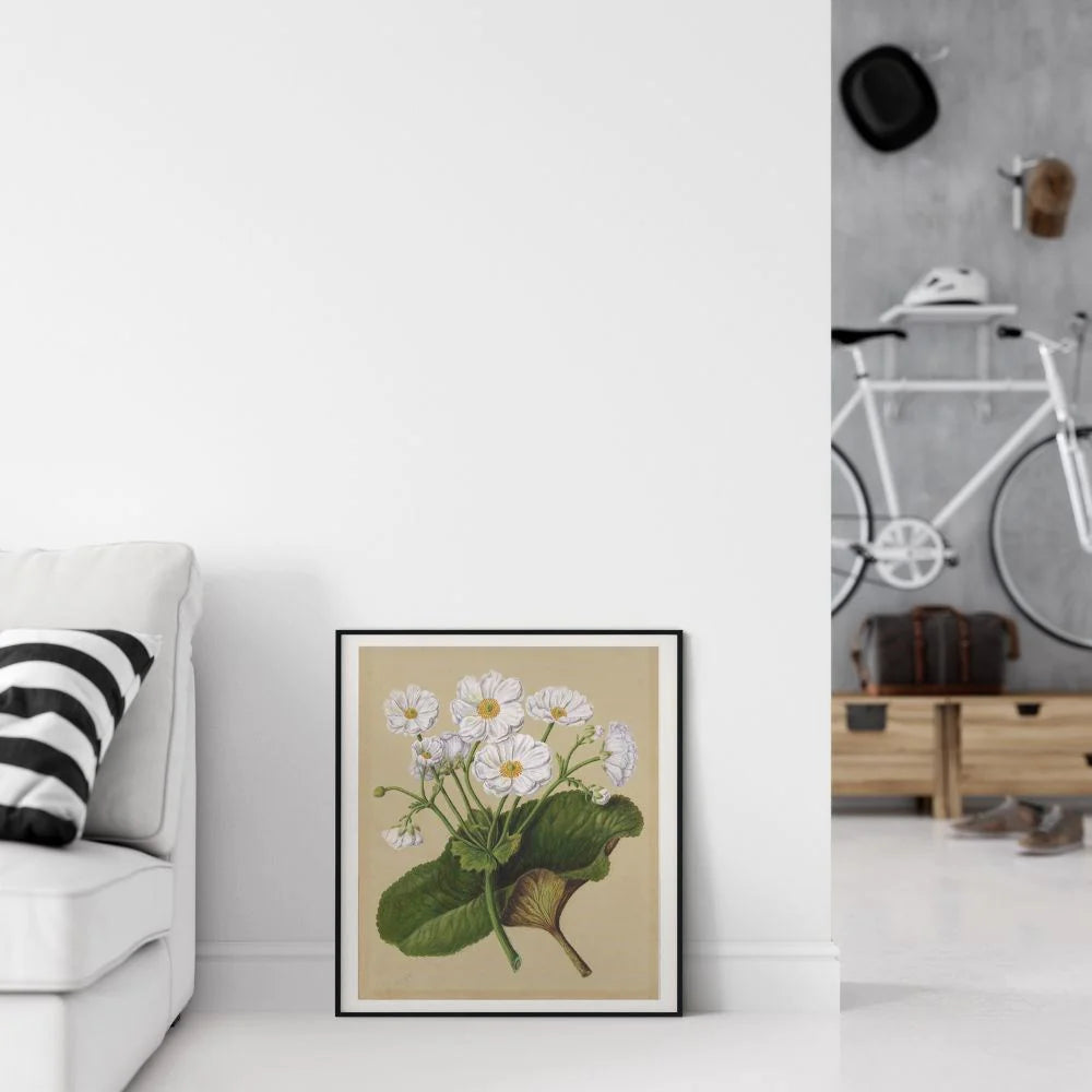 Sarah Featon Mount cook Lily print