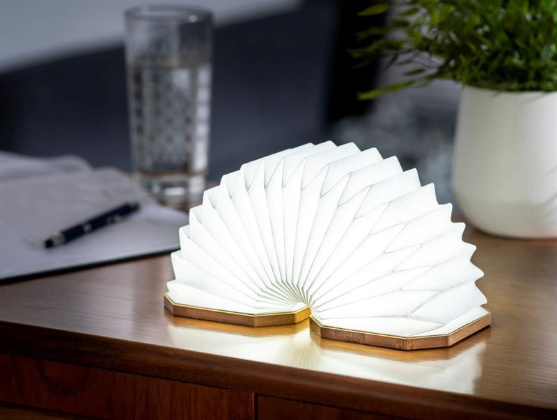 Ginko Smart Accordion LED light