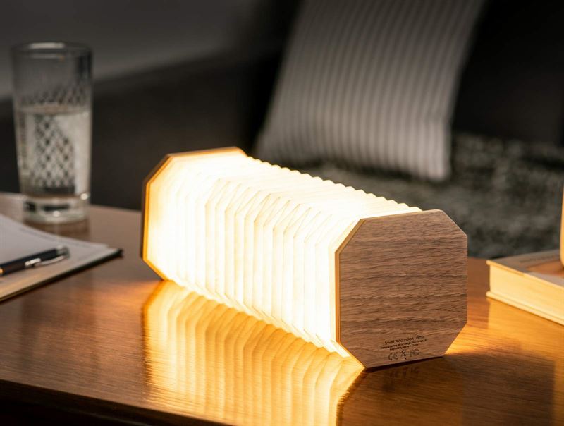 Ginko Smart Accordion LED light