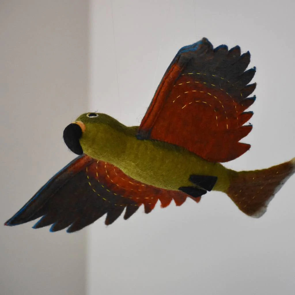 HANGING KEA | NZ NATIVE BIRD