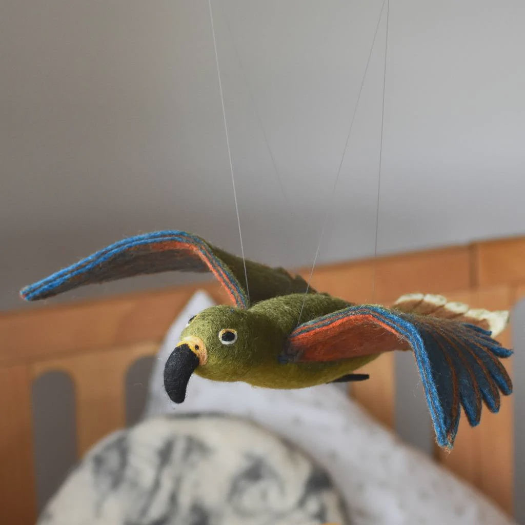 HANGING KEA | NZ NATIVE BIRD