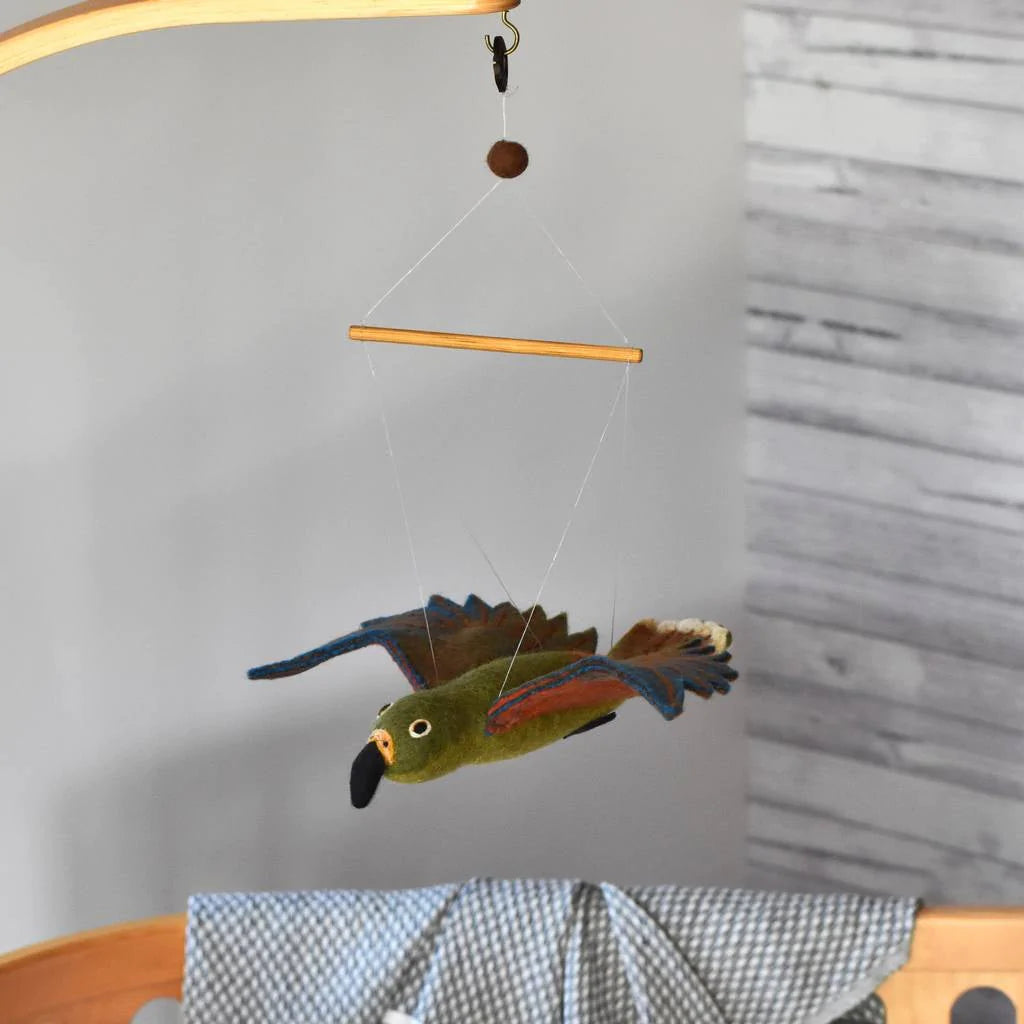HANGING KEA | NZ NATIVE BIRD