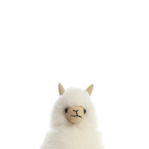 Baby Alpaca Plushie