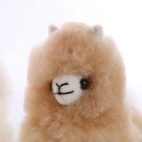 Baby Alpaca Plushie