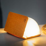 Gingko - Harmony Orange - Mini Smart LED Booklight