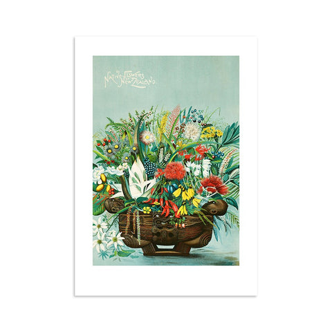 A4 Print | Vintage NZ Native Flowers