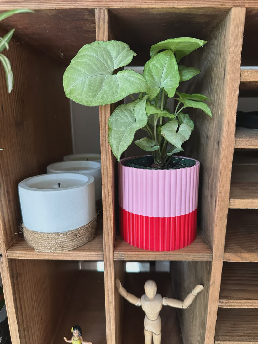 Flora & Thread | The Izzy Pots