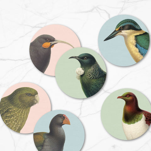 Hushed Birds Set of 6 Coasters