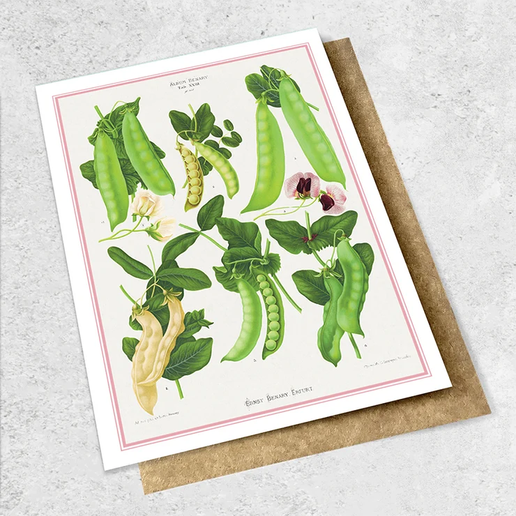 Ink Bomb | Vintage Garden Cards
