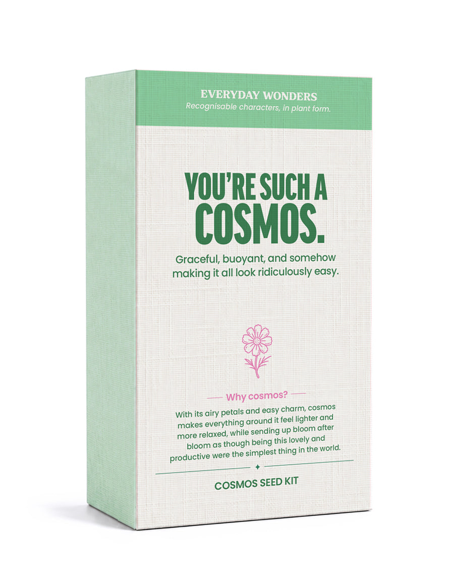 EVERYDAY WONDERS  | Stems of Wonder