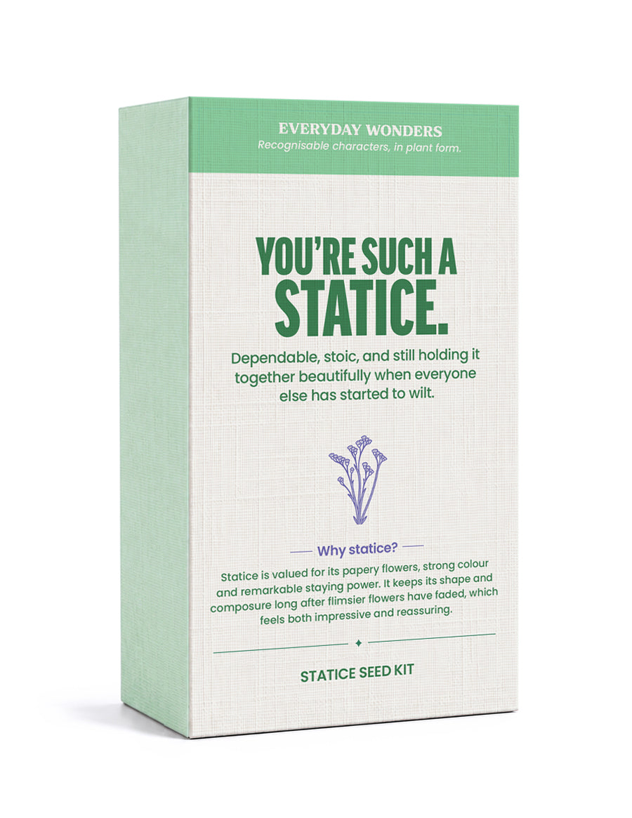 EVERYDAY WONDERS  | Stems of Wonder