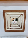 PURR...FECT | FRAMED CAT