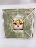 PURR...FECT | FRAMED CAT