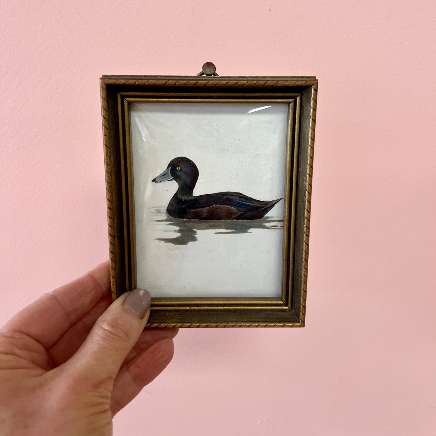 DUCK | J E CURRIE