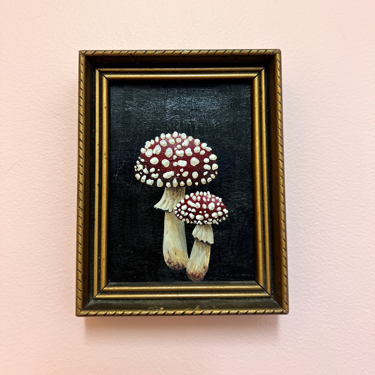 Toadstools | J E Currie