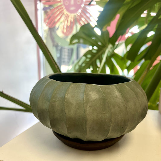 Silverfinch  | Large Planter