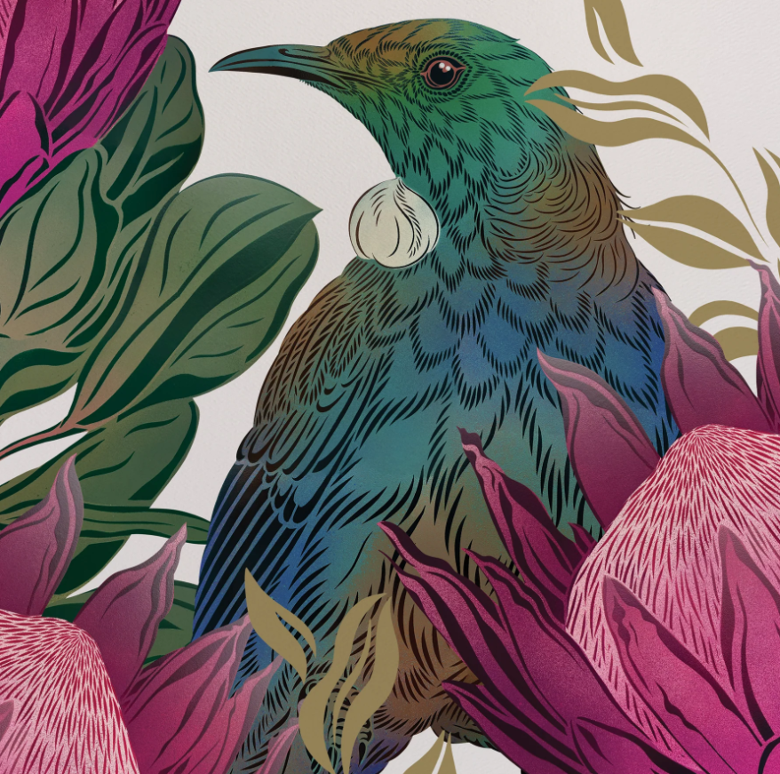 FLOX | Antipodes Tui & King Protea Print