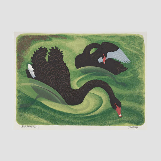 EILEEN MAYO | A3 Print - Black Swans