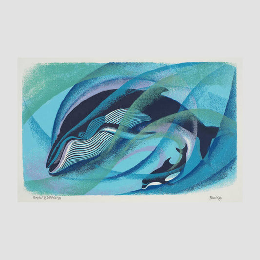 EILEEN MAYO |  A3 Print - Humpback and Bottlenose