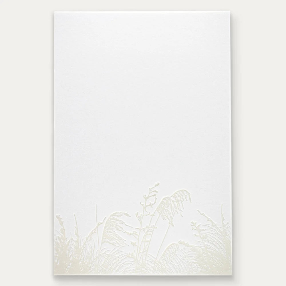 Notecard Set | Toetoe Kakaho