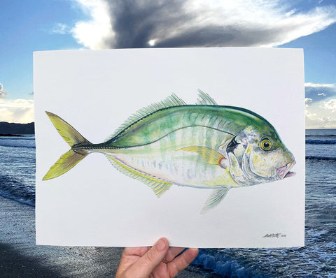 'Trev' Trevally